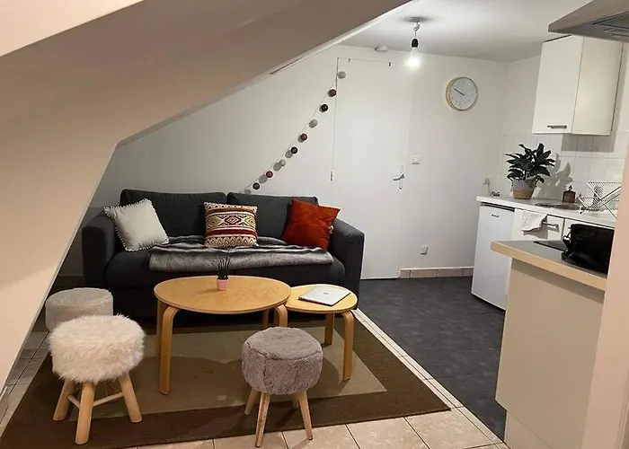 Apartman : T1 Bis Hyper Centre *