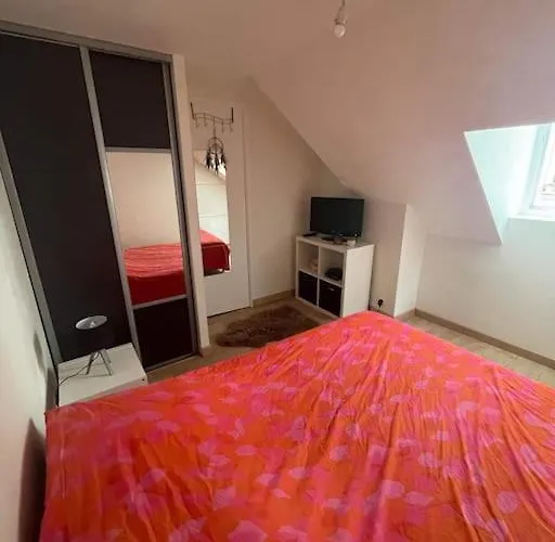 : T1 Bis Hyper Centre *